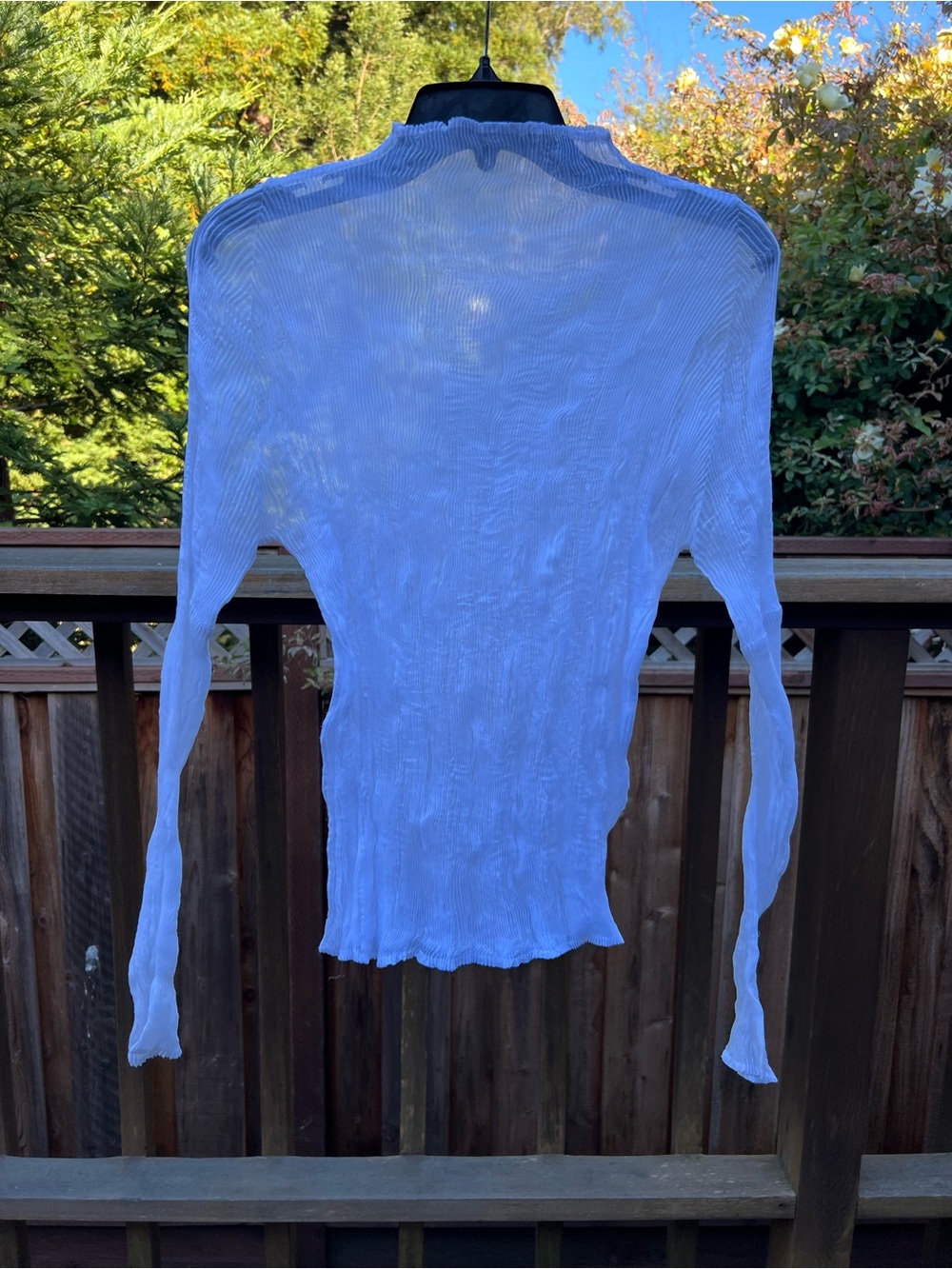Sheer White Long Sleeve pleated Top